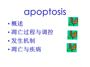 病理生理学网络课件第9章细胞凋亡和疾病课件文档资料.ppt