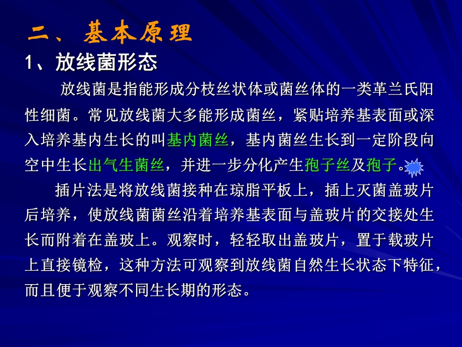 实验放线菌的形态观察和酵母菌的形态观察及死活细胞鉴别文档资料.ppt_第2页