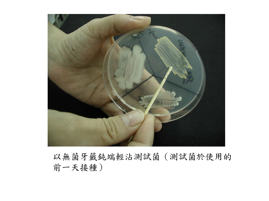 最新：AntibioticProductionActinomycetes由放线菌产生的抗生素文档资料.ppt_第2页