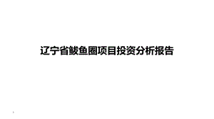 辽宁省营口市鲅鱼圈房地产市场投资分析.pptx