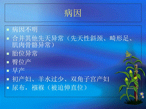 发育性髋关节发育不良课件文档资料.ppt