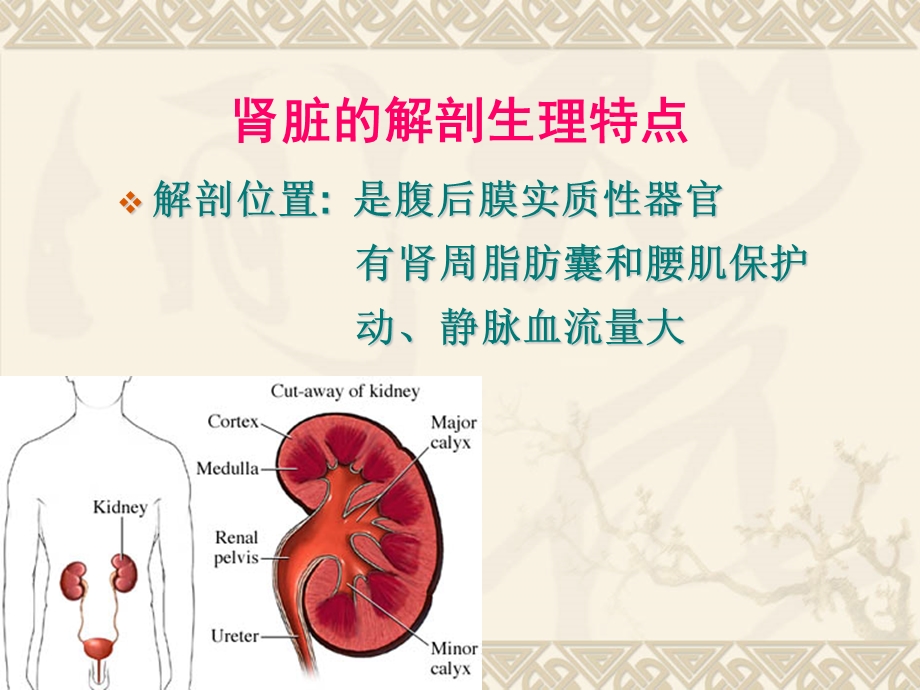 泌尿与男性生殖系统疾病护理文档资料.ppt_第2页