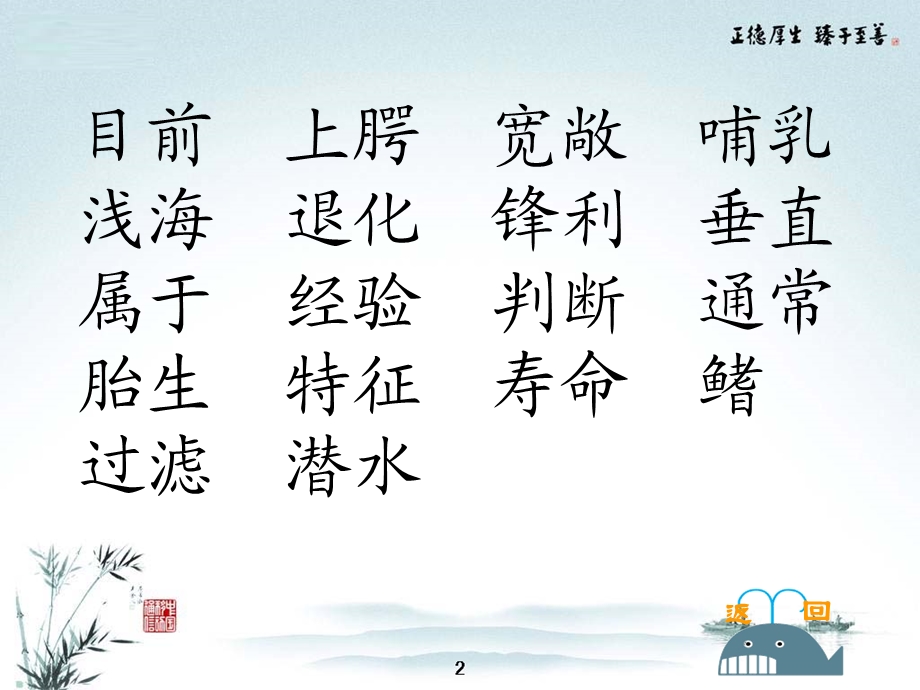 （课堂教学课件2）鲸.ppt_第2页