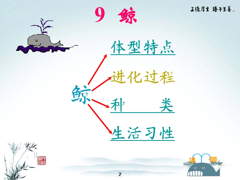 （课堂教学课件2）鲸.ppt_第3页