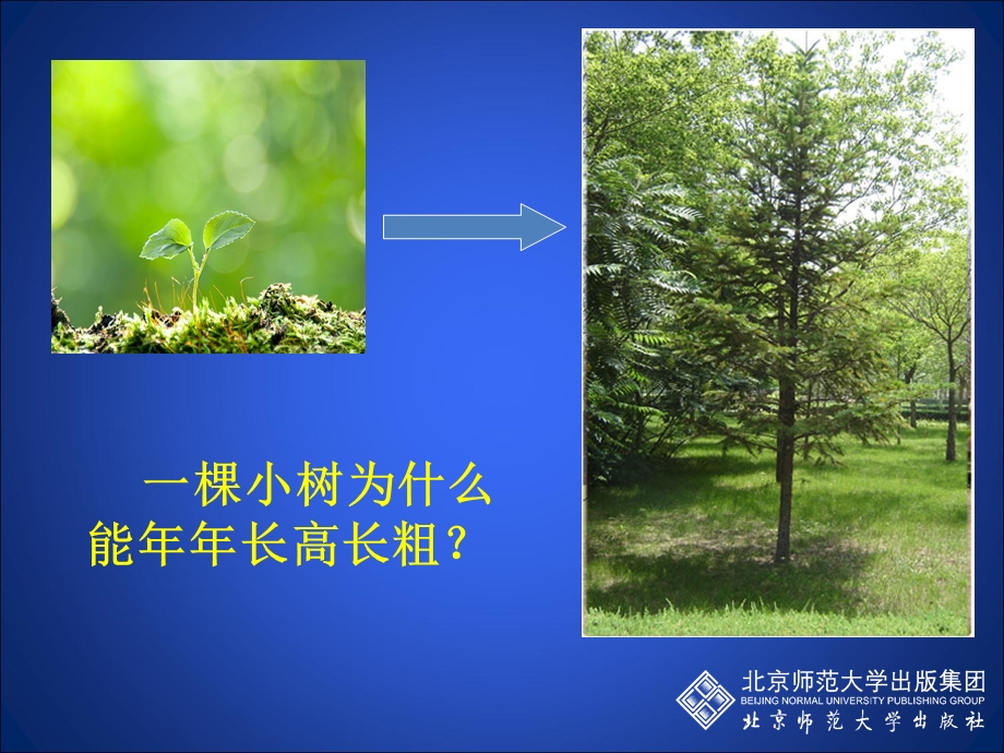 细胞分化形成组织.ppt_第2页