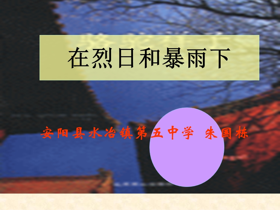 苏教版九年级上《在烈日和暴雨下》教学课件朱国栋.ppt_第1页