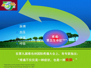 围手术期镇痛治疗及nsaids类药物新进展文档资料.ppt