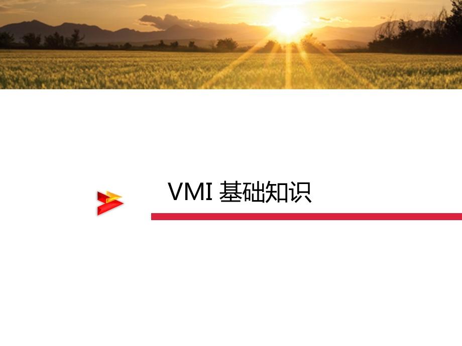 VMI培训资料.pptx_第3页