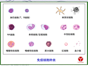 最新七科联考免疫学医学免疫学 固有免疫细胞PPT文档.ppt