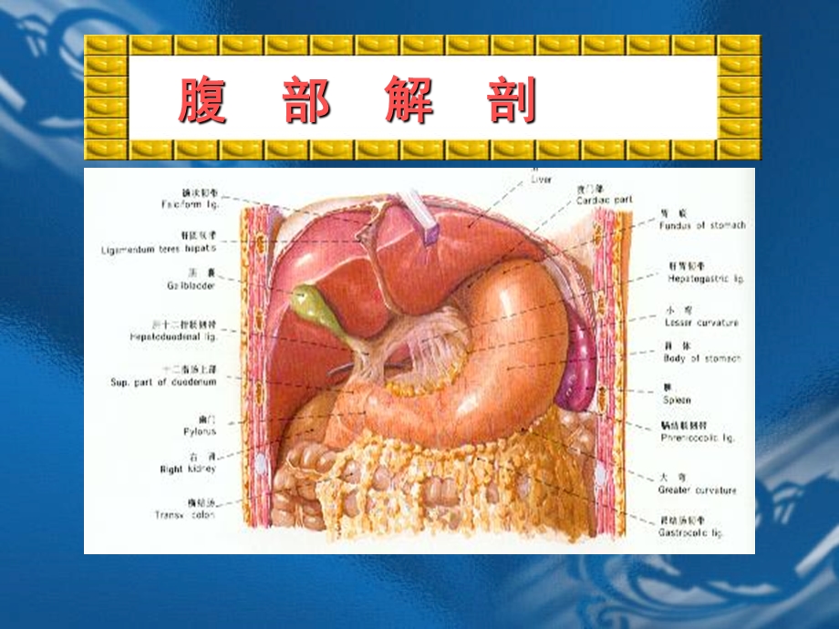 急腹症的诊断临床思维讲座稿新文档资料.ppt_第3页