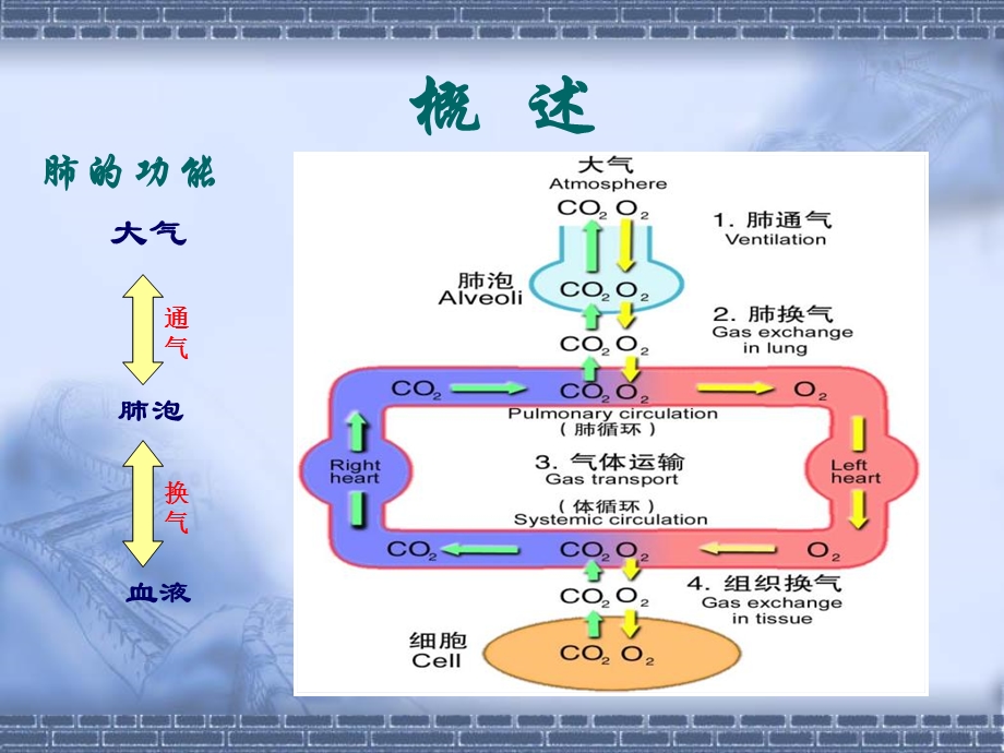 呼吸衰竭护理丁兆艳文档资料.ppt_第1页