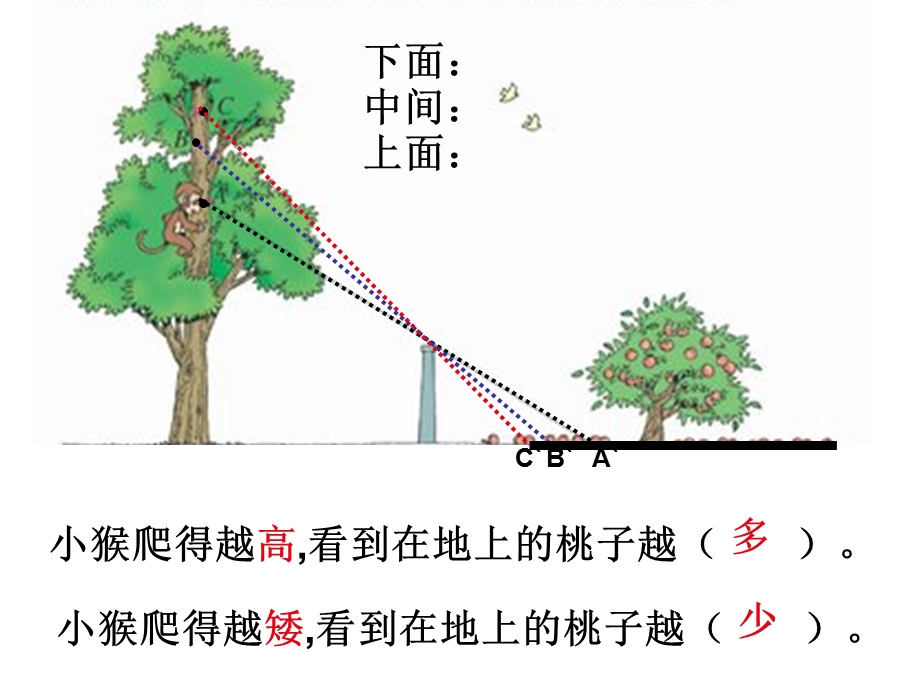 北师大版数学六年级上册《观察的范围》课件.ppt_第2页