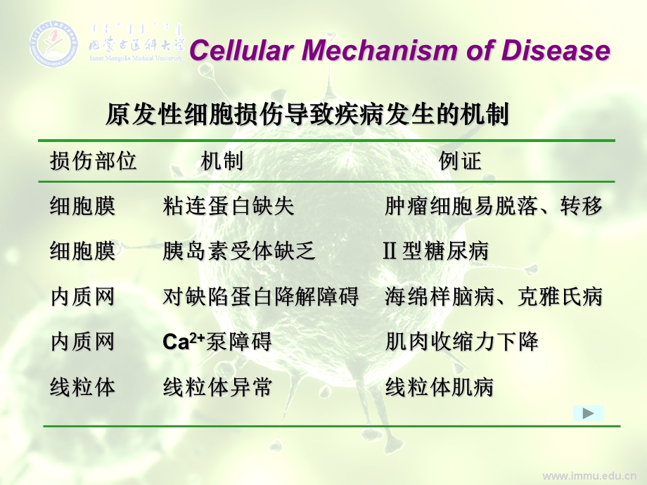 疾病的细胞机制ppt课件文档资料.ppt_第3页