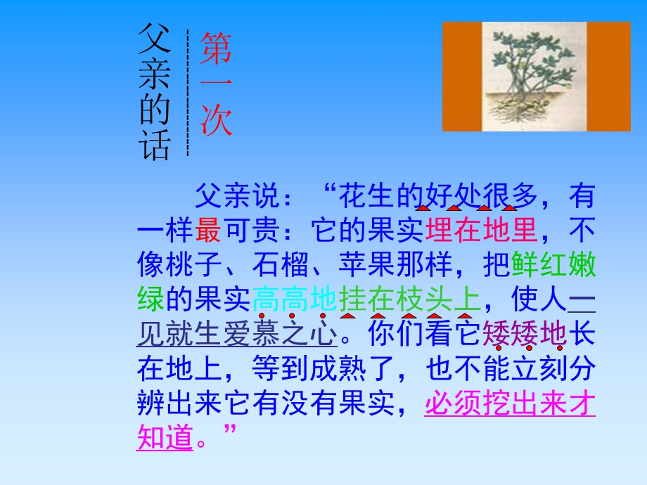 落花生课件 (3).ppt_第3页