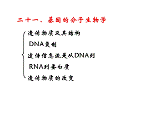 暨大普通生物学21基因的分子生物学.pptx