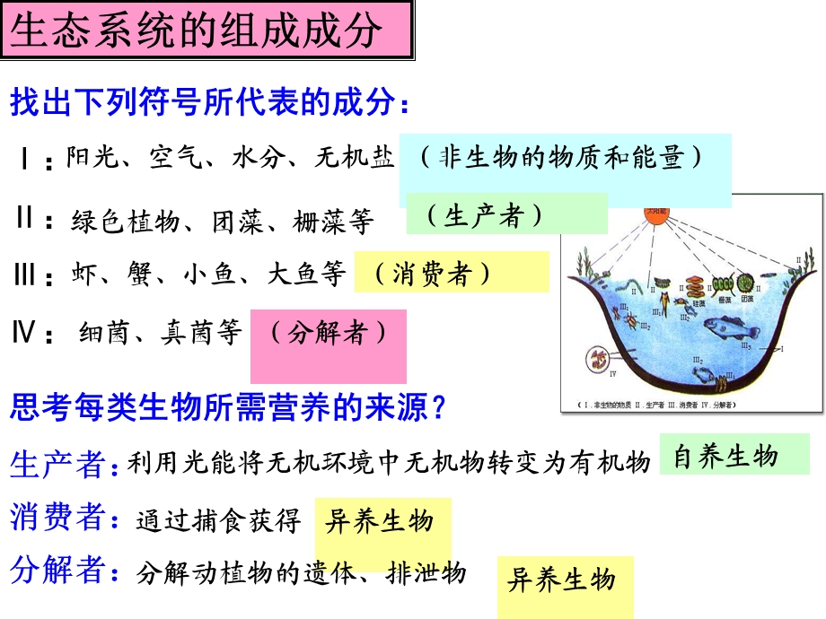 5.1生态系统的结构课件李文静[精选文档].ppt_第3页