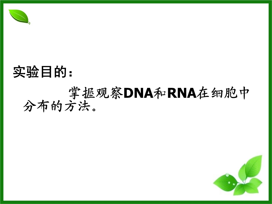 最终版第2章第3节实验观察DNARNA在细胞中的分布文档资料.ppt_第1页