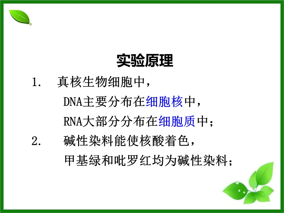 最终版第2章第3节实验观察DNARNA在细胞中的分布文档资料.ppt_第2页