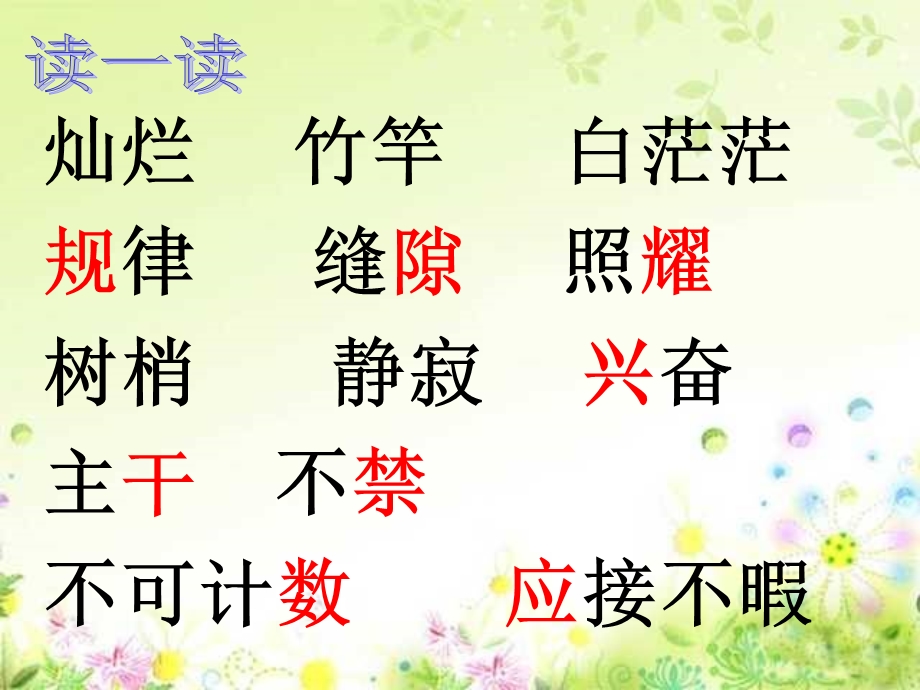 鸟的天堂_PPT课件.ppt_第3页