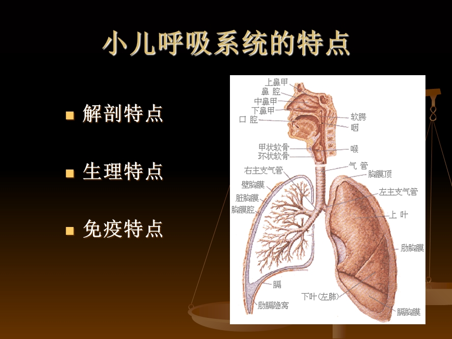 最新10版呼吸系统护理课件PPT文档文档资料.ppt_第2页