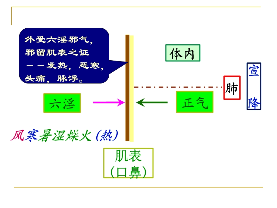 方剂学课件解表剂广州中医药大学文档资料.ppt_第2页