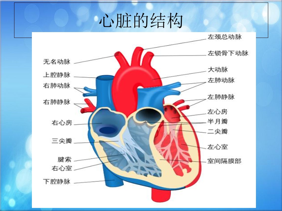 冠脉旁路移植术后的护理ppt课件文档资料.ppt_第1页