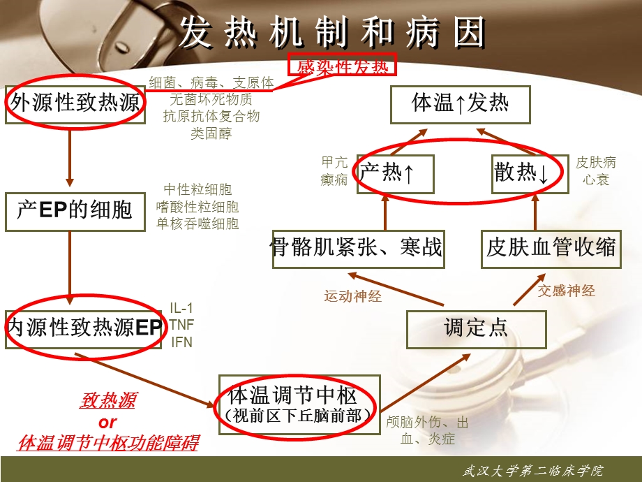 复习2.发热、发绀、疼痛、水肿文档资料.ppt_第2页