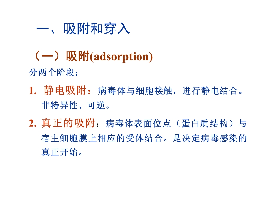 第二章病毒的复制文档资料.ppt_第3页