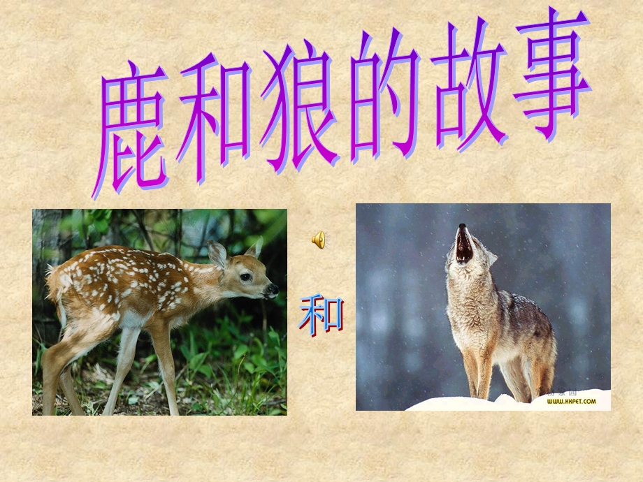 鹿和狼的故事课件 (4).ppt_第1页