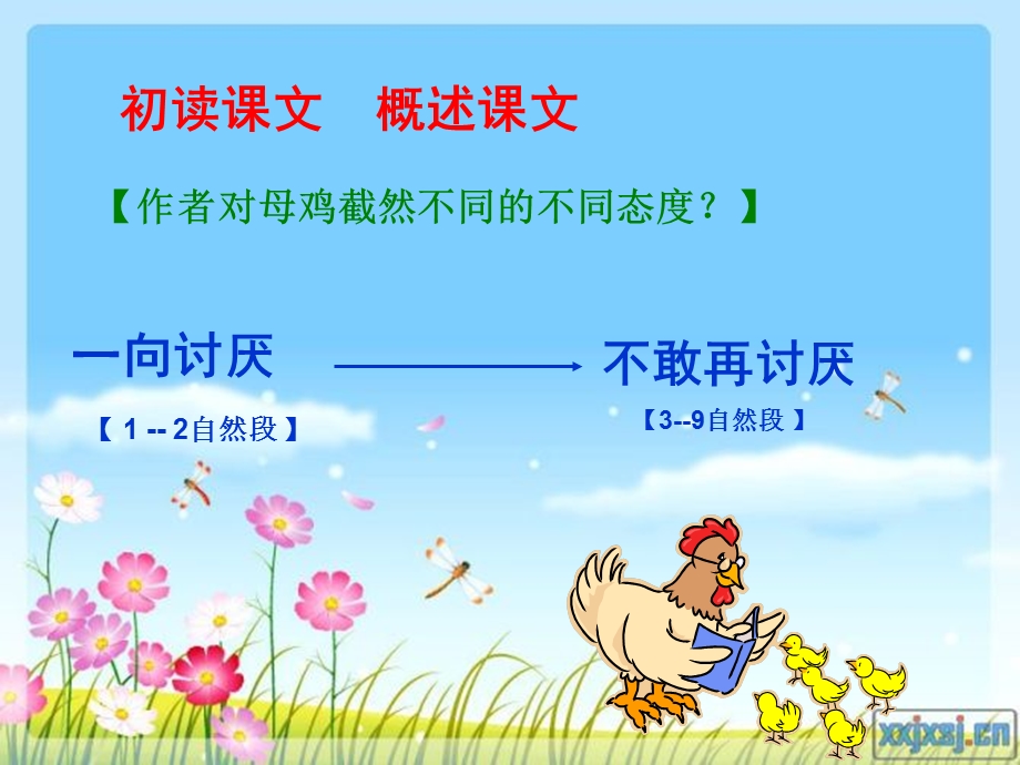 9母鸡课件陈幸[精选文档].ppt_第3页