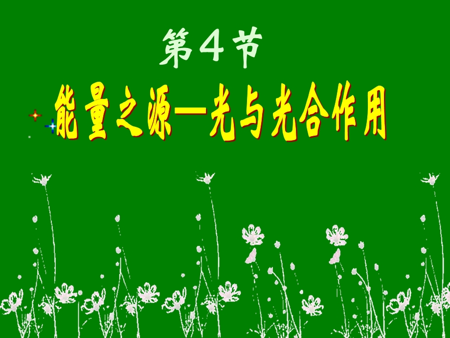 生物：54《能量之源——光与光合作用》课件(新人教版必修1).ppt_第2页