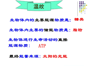 生物：54《能量之源——光与光合作用》课件(新人教版必修1).ppt