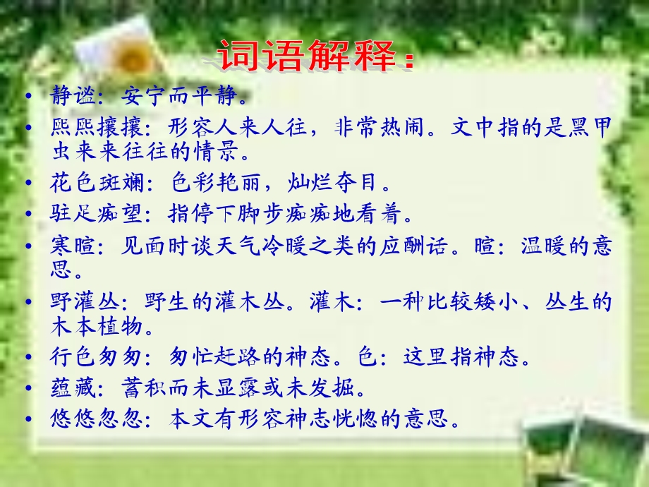 草虫的村落 (9).ppt_第2页