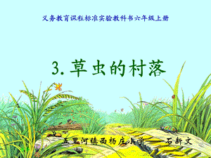 草虫的村落 (9).ppt