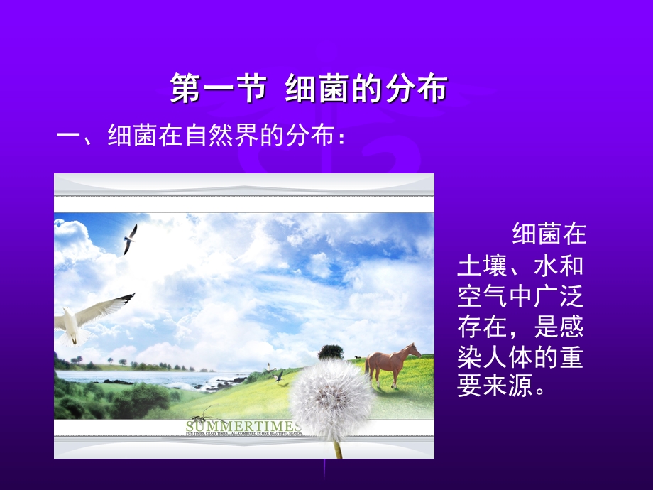 第四细菌的分布与消毒灭菌文档资料.ppt_第1页