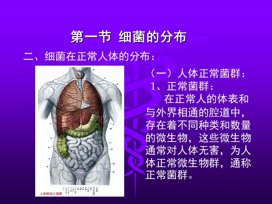 第四细菌的分布与消毒灭菌文档资料.ppt_第2页