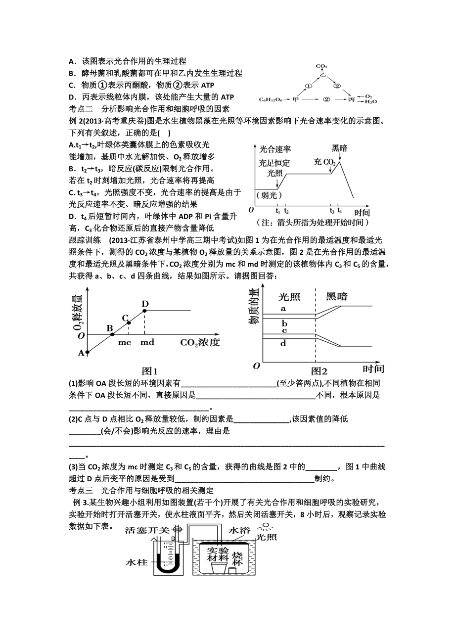 细胞呼吸和光合作用小专题.doc_第2页