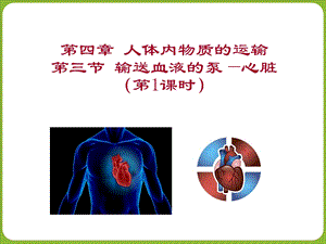 输送血液的泵-心脏(第1课时）.ppt