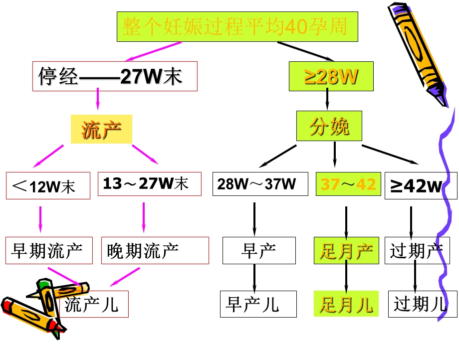 正常分娩妇女护理文档资料.ppt_第1页