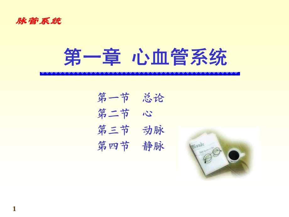 七科联考系统解剖学心精选文档.ppt_第1页