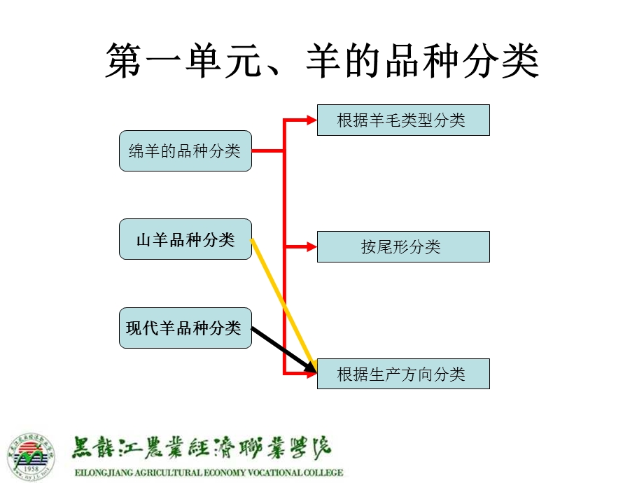 牛羊生产和疾病防治文档资料.ppt_第3页