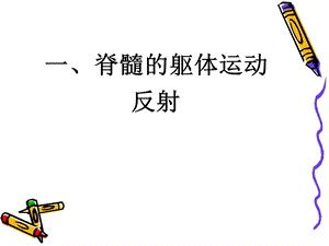 神经系统对躯体运动的调控ppt课件文档资料.ppt