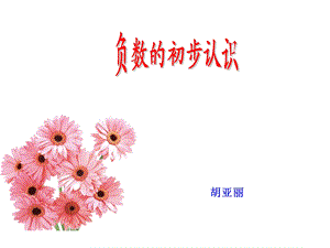 负数的认识 (6).ppt