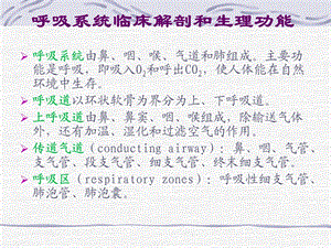 专家课件呼吸系统应用解剖和生理北京协和医院呼吸科陆慰萱PPT文档.ppt