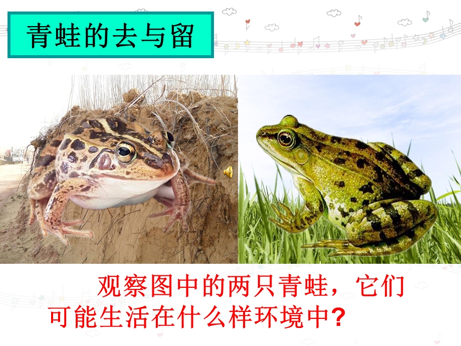 谁选择了它们.ppt_第3页