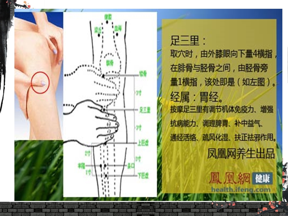 中医体质辨识及保健指导课件PPT文档.ppt_第2页