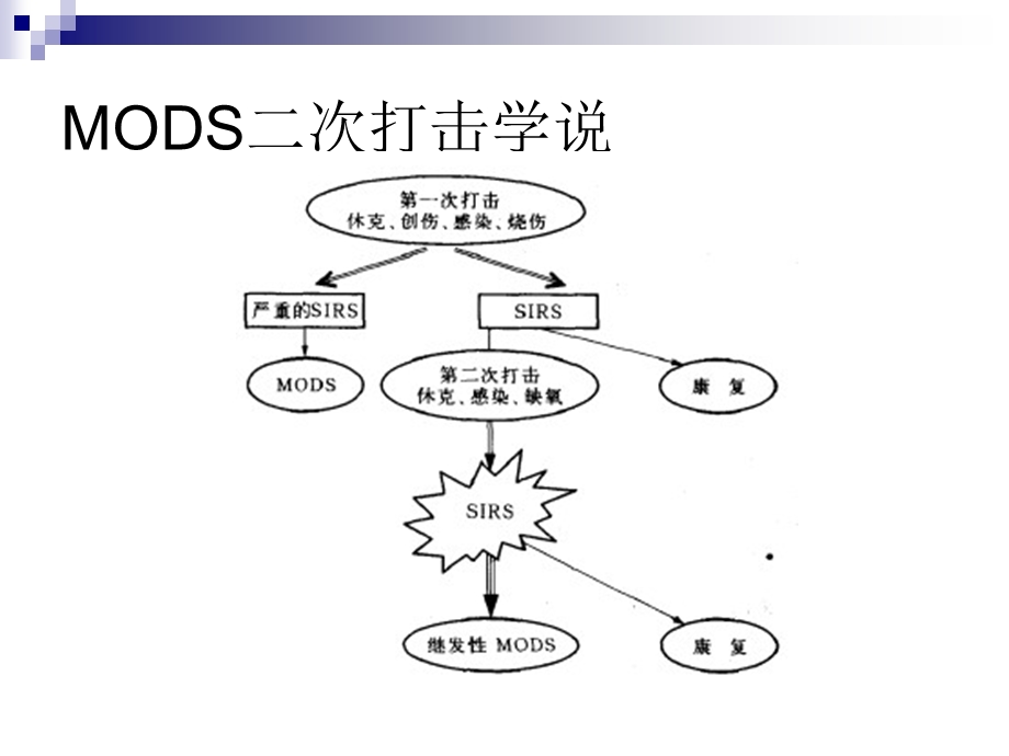 感染休克文档资料.ppt_第3页