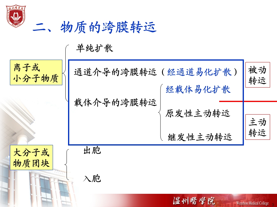 第2章细胞的基本功能ppt课件文档资料.PPT_第3页