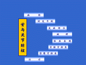 上海第二医科大学附属瑞金医院骨科教研组制作文档资料.ppt