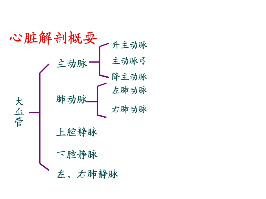 心脏解剖及超声心动图检查方法功能测定文档资料.ppt_第3页